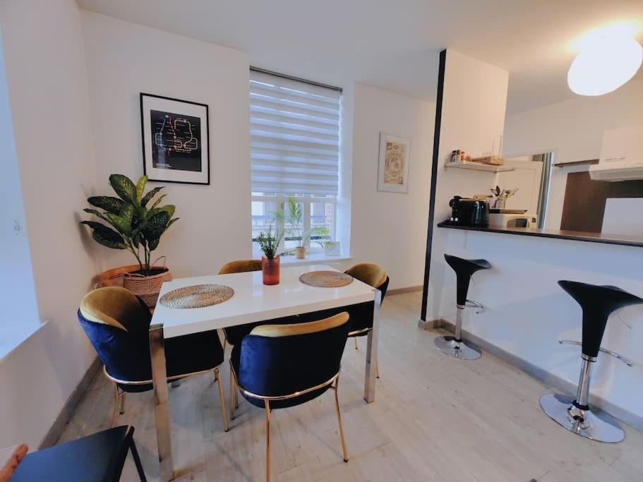 Appartement Lumineux Et Calme Parking Gratuit リール エクステリア 写真