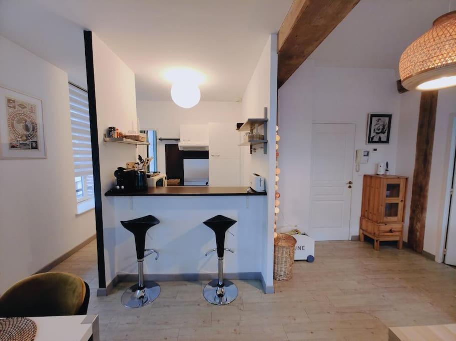Appartement Lumineux Et Calme Parking Gratuit リール エクステリア 写真