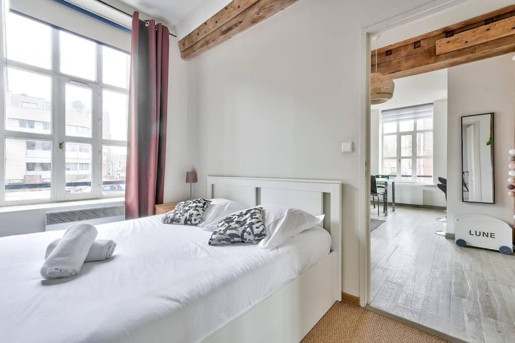 Appartement Lumineux Et Calme Parking Gratuit リール エクステリア 写真